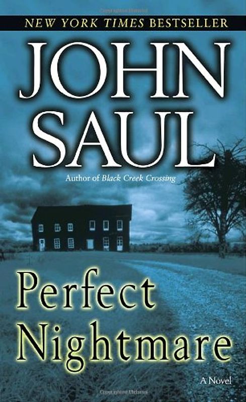 Perfect Nightmare: A Novel - John Saul