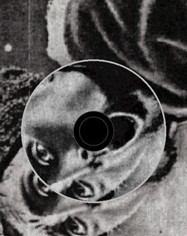 Übung im Ertrinken /Iwan steht auf. 2 Hörstücke in Buch mit Audio-CD