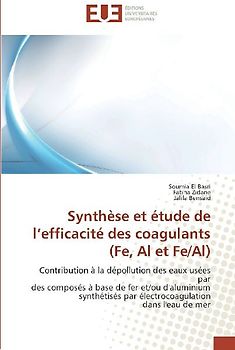 Synthèse et étude de l'efficacité des coagulants (Fe, Al et Fe/Al)