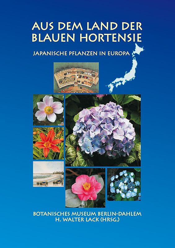 Aus dem Land der blauen Hortensie