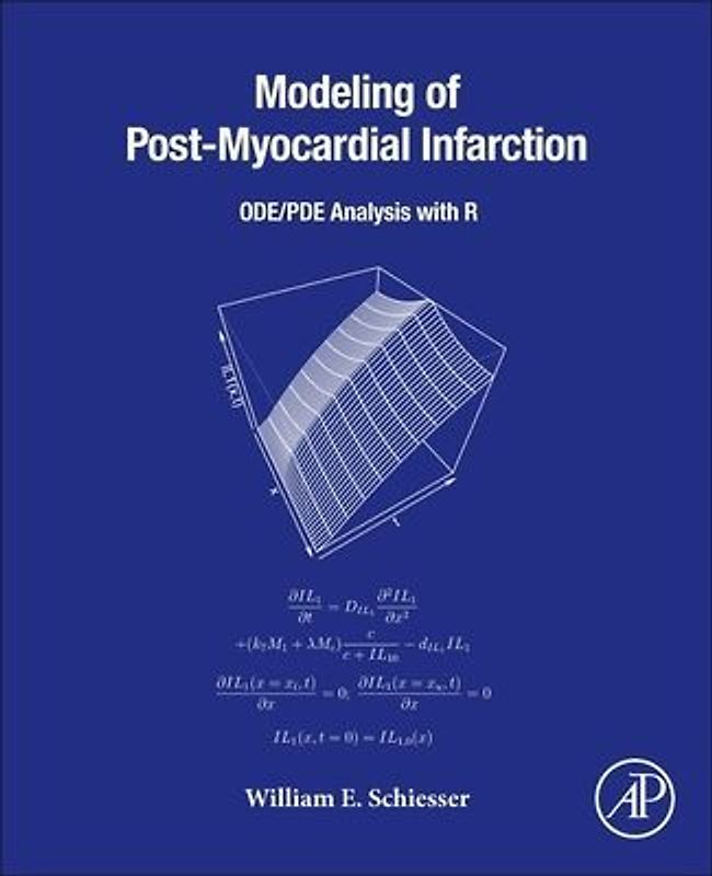 Modeling of Post-Myocardial Infarction