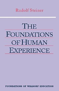 The Foundations of Human Experience
