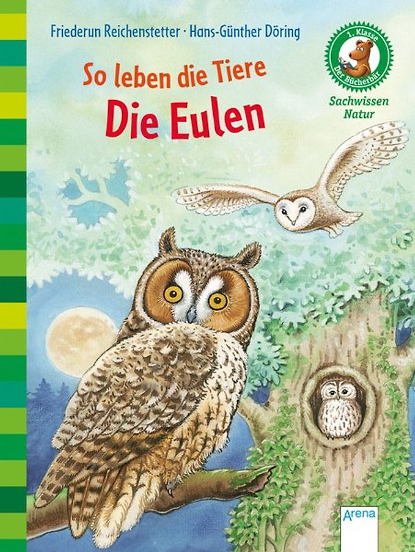 So leben die Tiere. Die Eulen