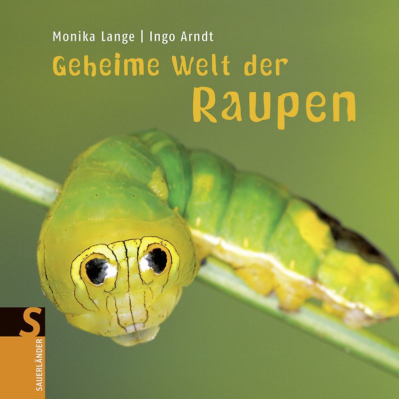 Geheime Welt der Raupen