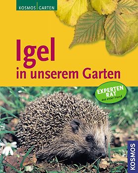 Igel in unserem Garten