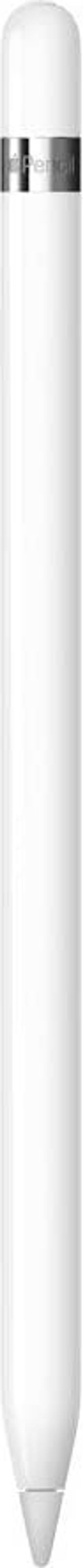 Image of Apple Pencil [1e generatie] wit (Refurbished)