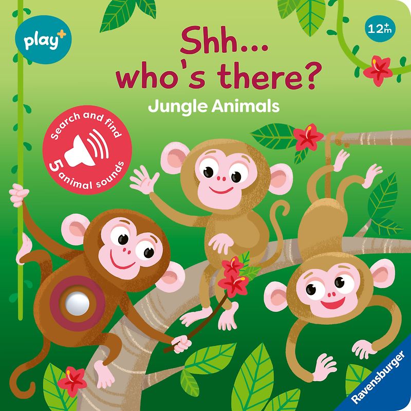 Play+ Shh ... who's there? Jungle Animals