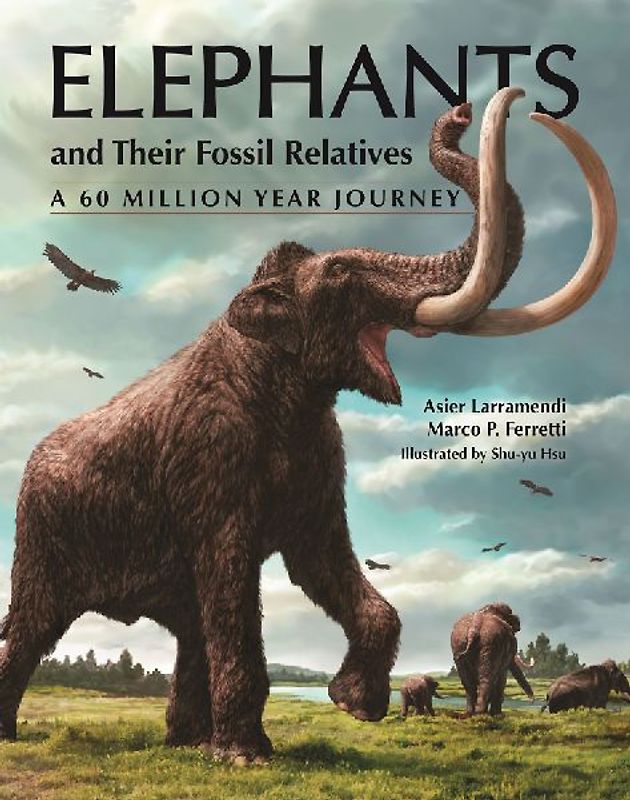 Elephants and Their Fossil Relatives