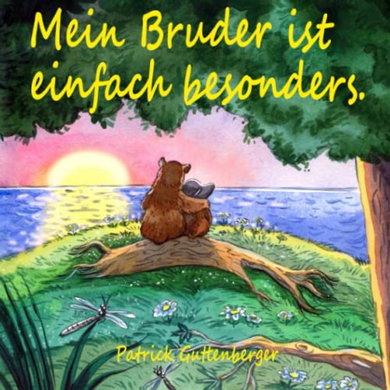Mein Bruder ist einfach besonders.: Liebevoll farbig illustriertes pädagogisches Kinderbuch zum Thema Leben mit Behinderung. Ideal zum Vorlesen & für Erstleser