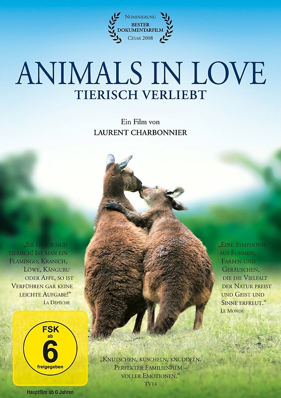 Animals in Love - Tierisch Verliebt DVD