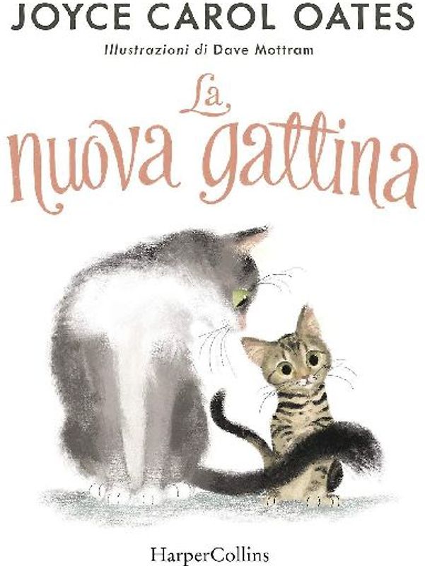 La nuova gattina