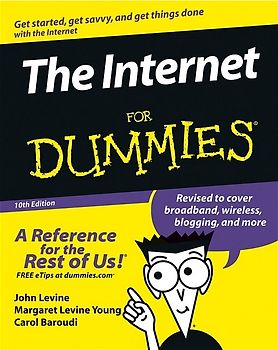 The Internet For Dummies