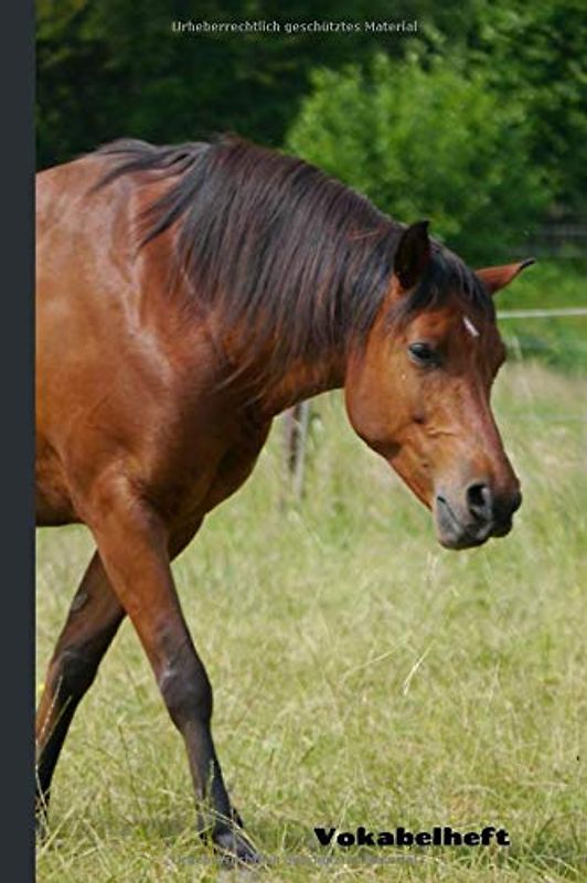 Vokabelheft: Vokabeln lernen mit System - 2 Spalten inkl. Kontrollkästchen | universal für alle Sprachen | 100 Seiten - A5 | Motiv: Pferd