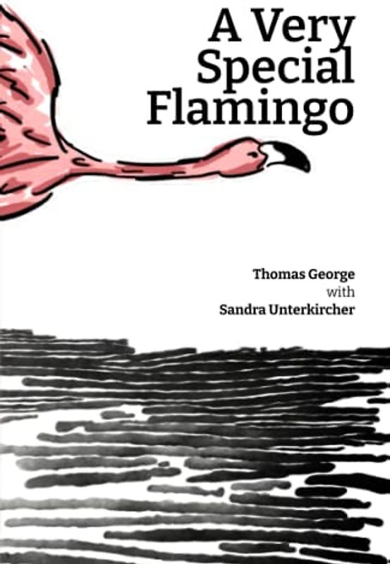 A Very Special Flamingo