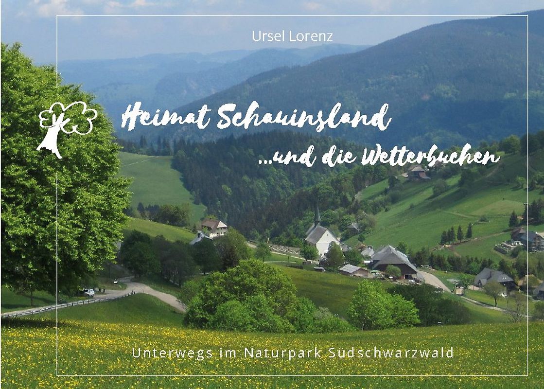 Heimat Schauinsland ... und die Wetterbuchen