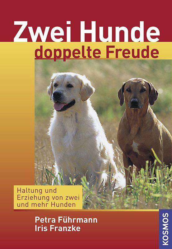 Zwei Hunde, doppelte Freude