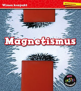 Magnetismus