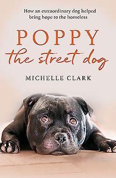 Poppy The Street Dog