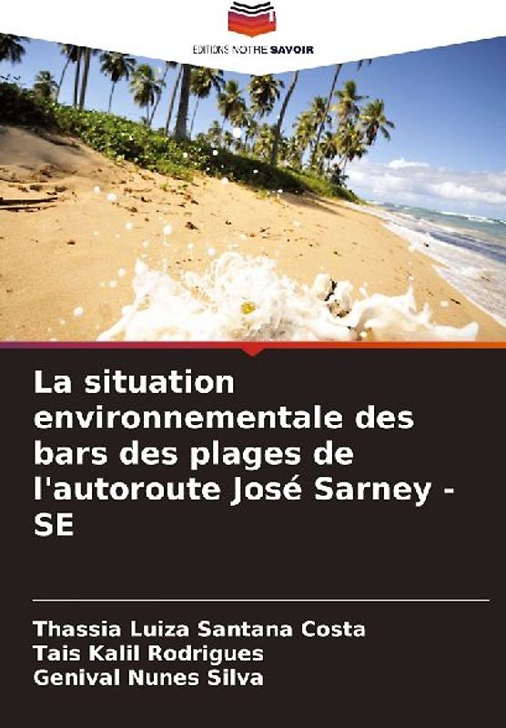 La situation environnementale des bars des plages de l'autoroute José Sarney - SE