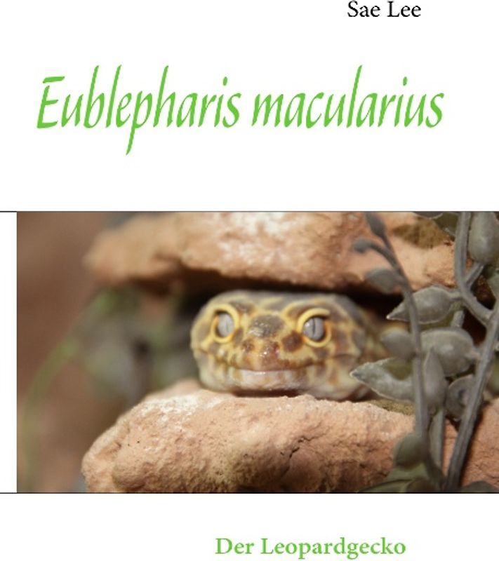 Eublepharis macularius