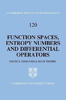 Function Spaces, Entropy Numbers, Differential Operators