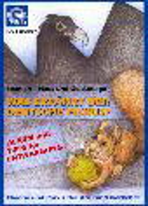 Spanien - Haus und Geldanlage. Was erfährt der deutsche Fiskus?