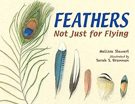 Feathers: Not Just for Flying