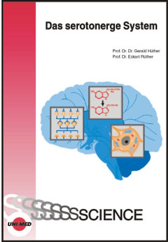 Das serotonerge System