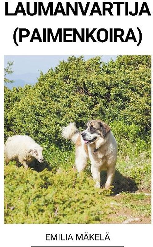 Laumanvartija (Paimenkoira)