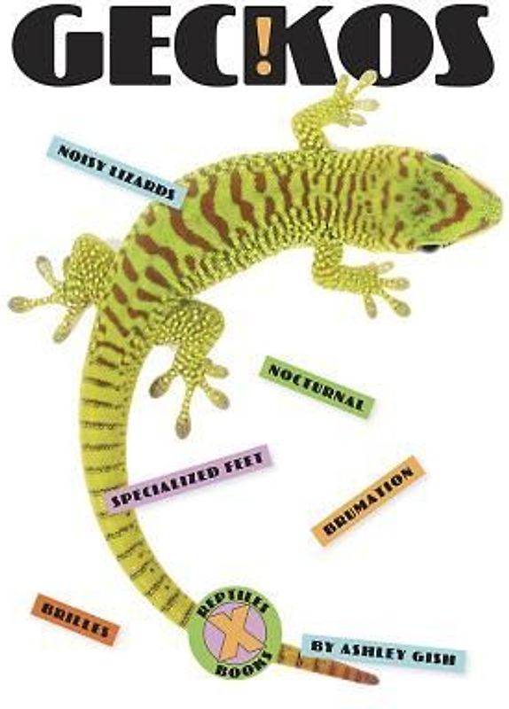 Geckos