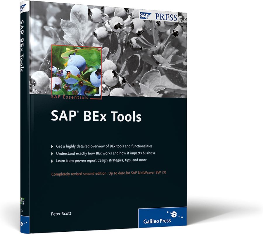 SAP BEx Tools