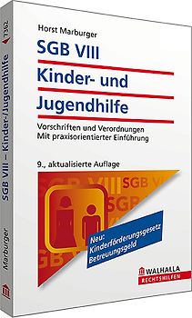 SGB VIII - Kinder- und Jugendhilfe