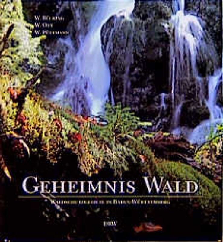Geheimnis Wald