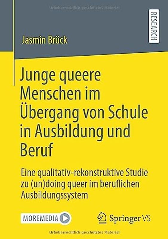 Junge queere Menschen im Übergang von Schule in Ausbildung und Beruf