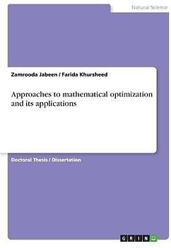 Approaches to mathematical optimization and its applications