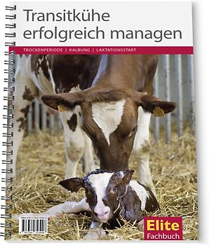 Transitkühe erfolgreich managen