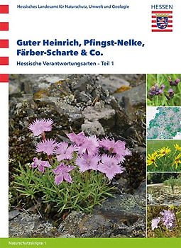 Guter Heinrich, Pfingst-Nelke, Färber-Scharte & Co
