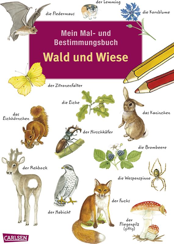 Mein Mal- und Bestimmungsbuch - Wald und Wiese