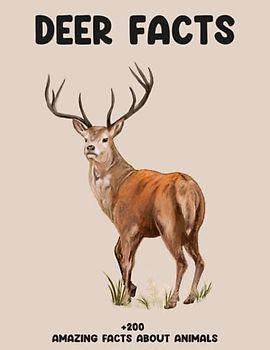 Deer Facts +200 AMAZING FACTS ABOUT ANIMALS: Learning Facts on Everything From Animals, ( +200 Facts About Animals )
