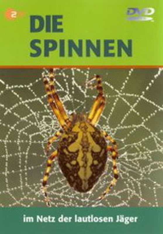 Spinnen DVD