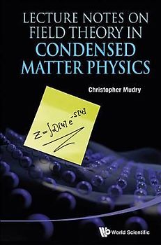 Lecture Notes on Field Theory in Condensed Matter Physics