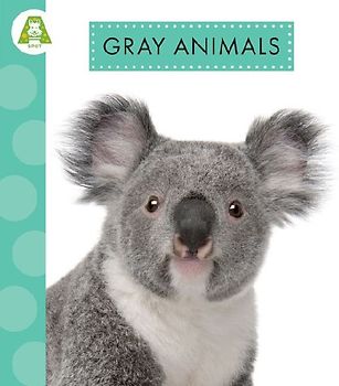 Gray Animals