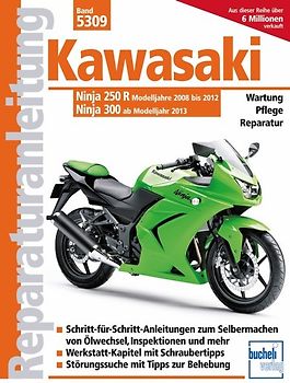 Kawasaki Ninja 250 R (2008-2012) 300 (ab 2013)