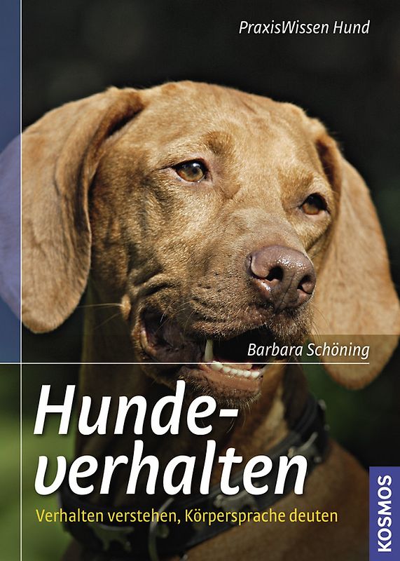 Hundeverhalten