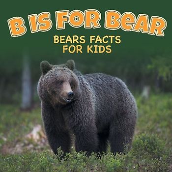 B is for Bear