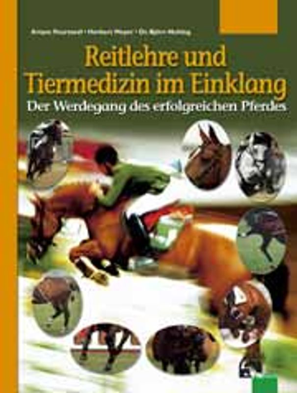 Reitlehre und Tiermedizin im Einklang