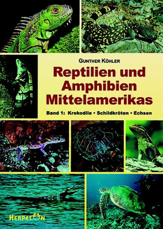 Reptilien und Amphibien Mittelamerikas
