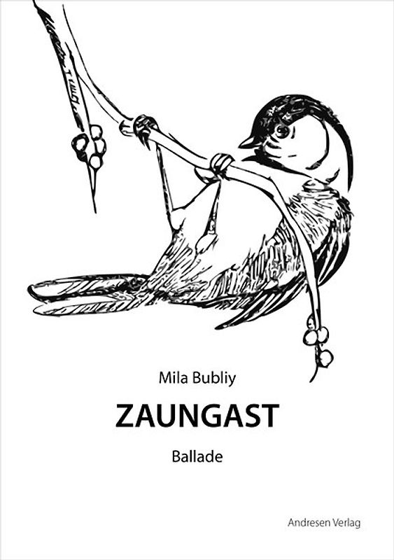 Zaungast