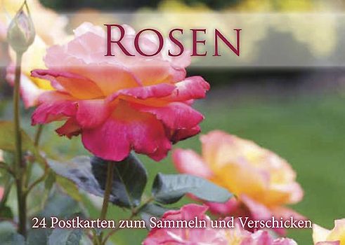Postkartenbuch: Rosen