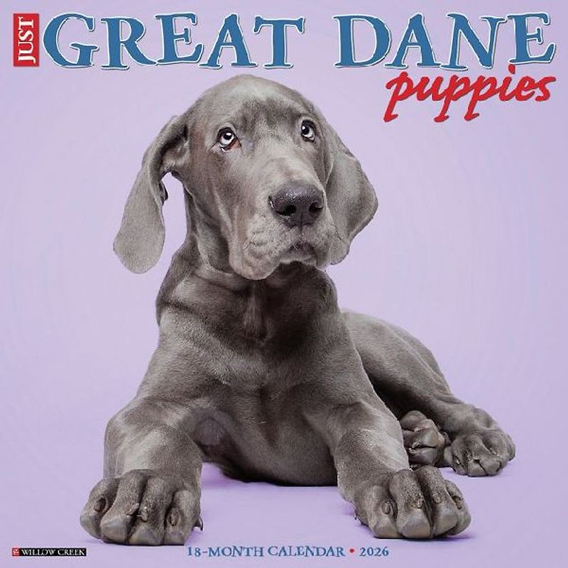 Great Dane Puppies 2026 12 X 12 Wall Calendar